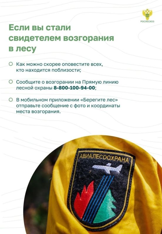 #ОстановиОгонь ! Пожарная безопасность в лесу: преступление и наказание #ОстановиОгонь ! Пожарная безопасность в лесу: преступление и наказание