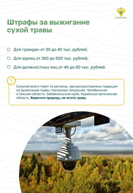 #ОстановиОгонь ! Пожарная безопасность в лесу: преступление и наказание #ОстановиОгонь ! Пожарная безопасность в лесу: преступление и наказание
