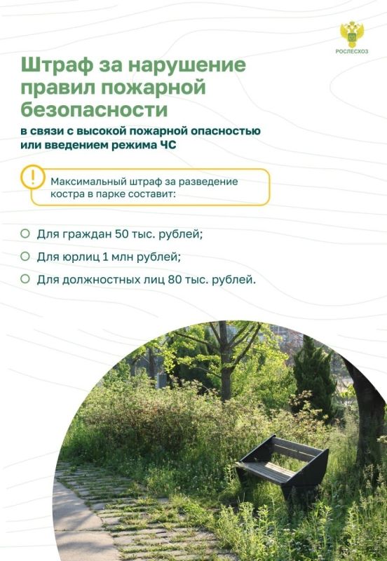 #ОстановиОгонь ! Пожарная безопасность в лесу: преступление и наказание #ОстановиОгонь ! Пожарная безопасность в лесу: преступление и наказание