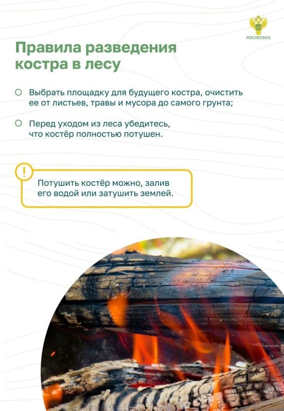 #ОстановиОгонь ! Пожарная безопасность в лесу: преступление и наказание #ОстановиОгонь ! Пожарная безопасность в лесу: преступление и наказание