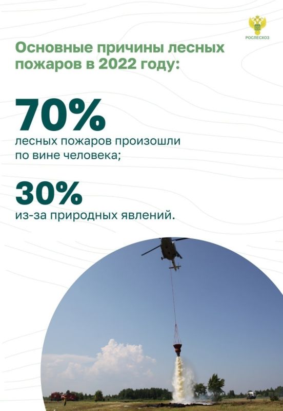 #ОстановиОгонь ! Пожарная безопасность в лесу: преступление и наказание #ОстановиОгонь ! Пожарная безопасность в лесу: преступление и наказание
