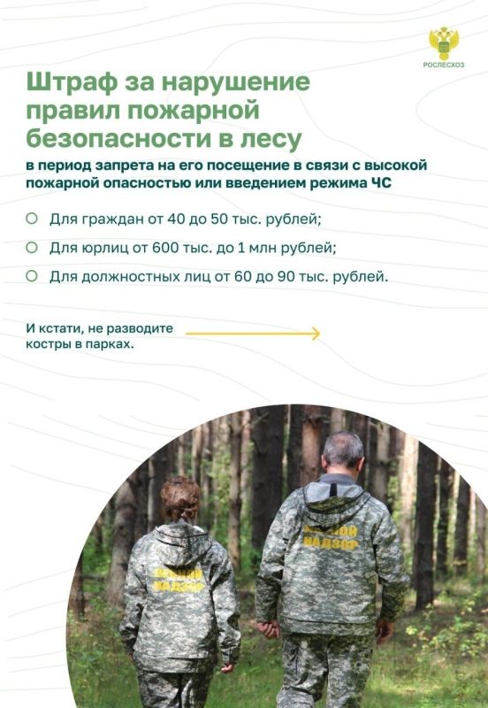#ОстановиОгонь ! Пожарная безопасность в лесу: преступление и наказание #ОстановиОгонь ! Пожарная безопасность в лесу: преступление и наказание