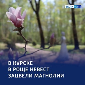 ������, �� ������������: ������ �������� � ���� ������