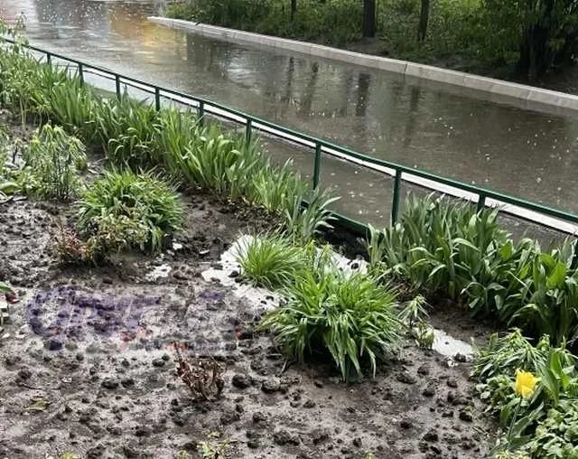 Улицы Курска засыпало градом Улицы Курска засыпало градом