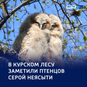 ������ ����� ������� � ����������� ������