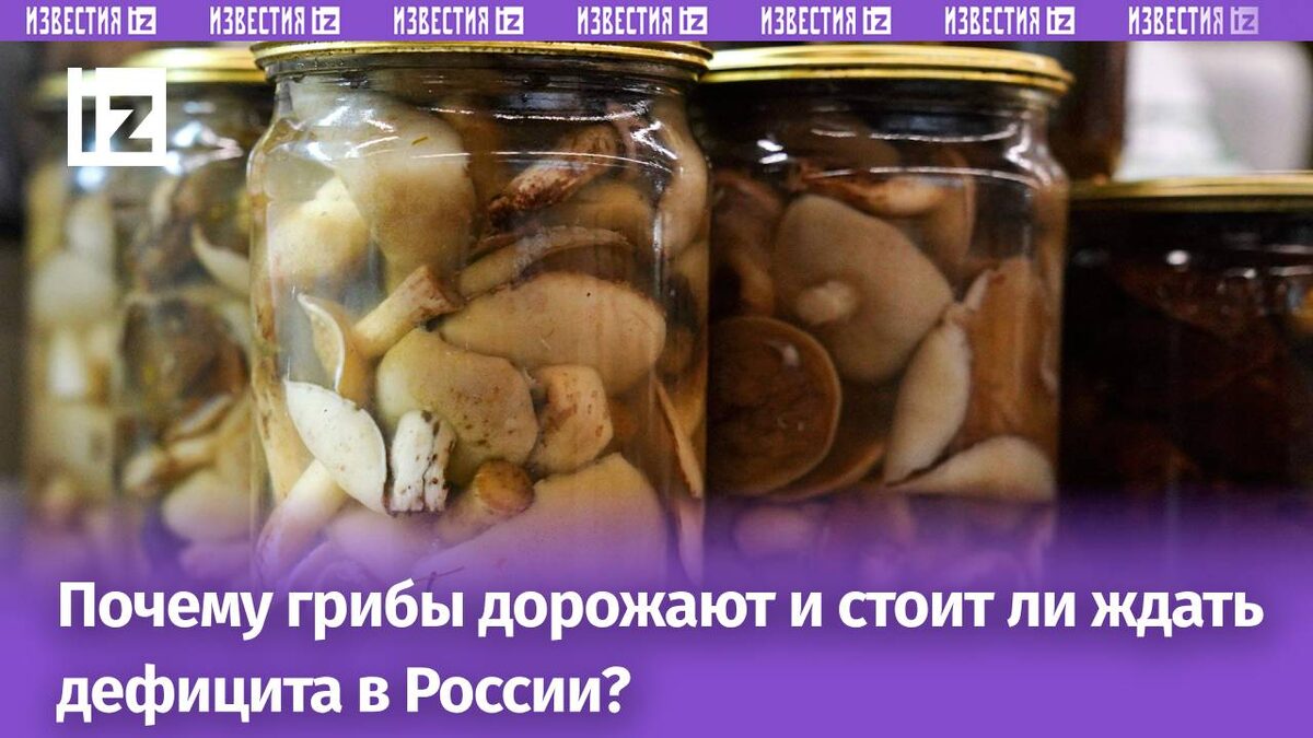 Цены на грибы в России растут: причины и прогнозы на ближайшие годы