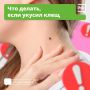 Вместе с клещом можно подцепить опасные болезни
