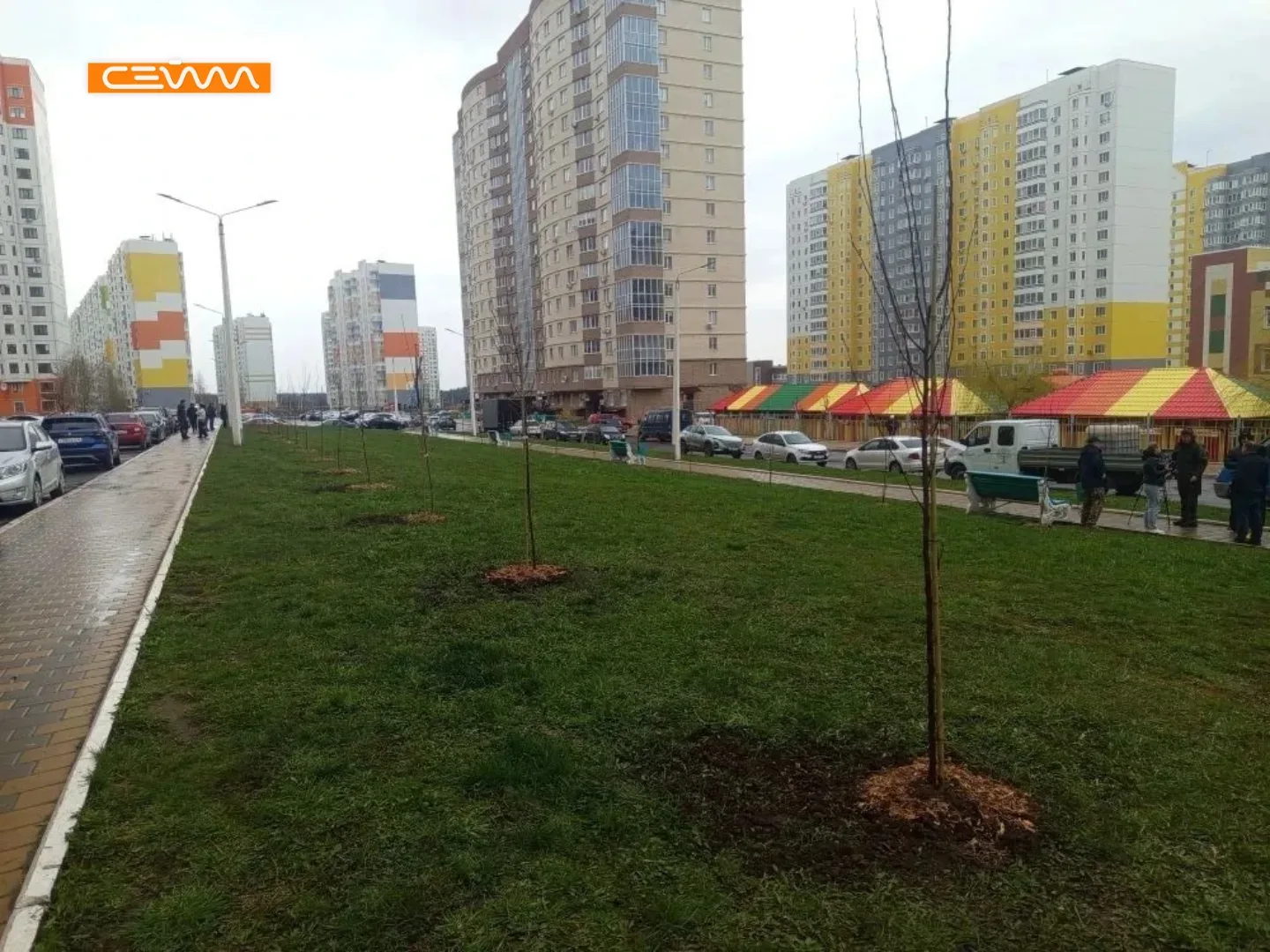 За деревьями на Алее Победы, которую высадили жители приграничья на Дериглазова в Курске, ухаживает местная управляющая компания