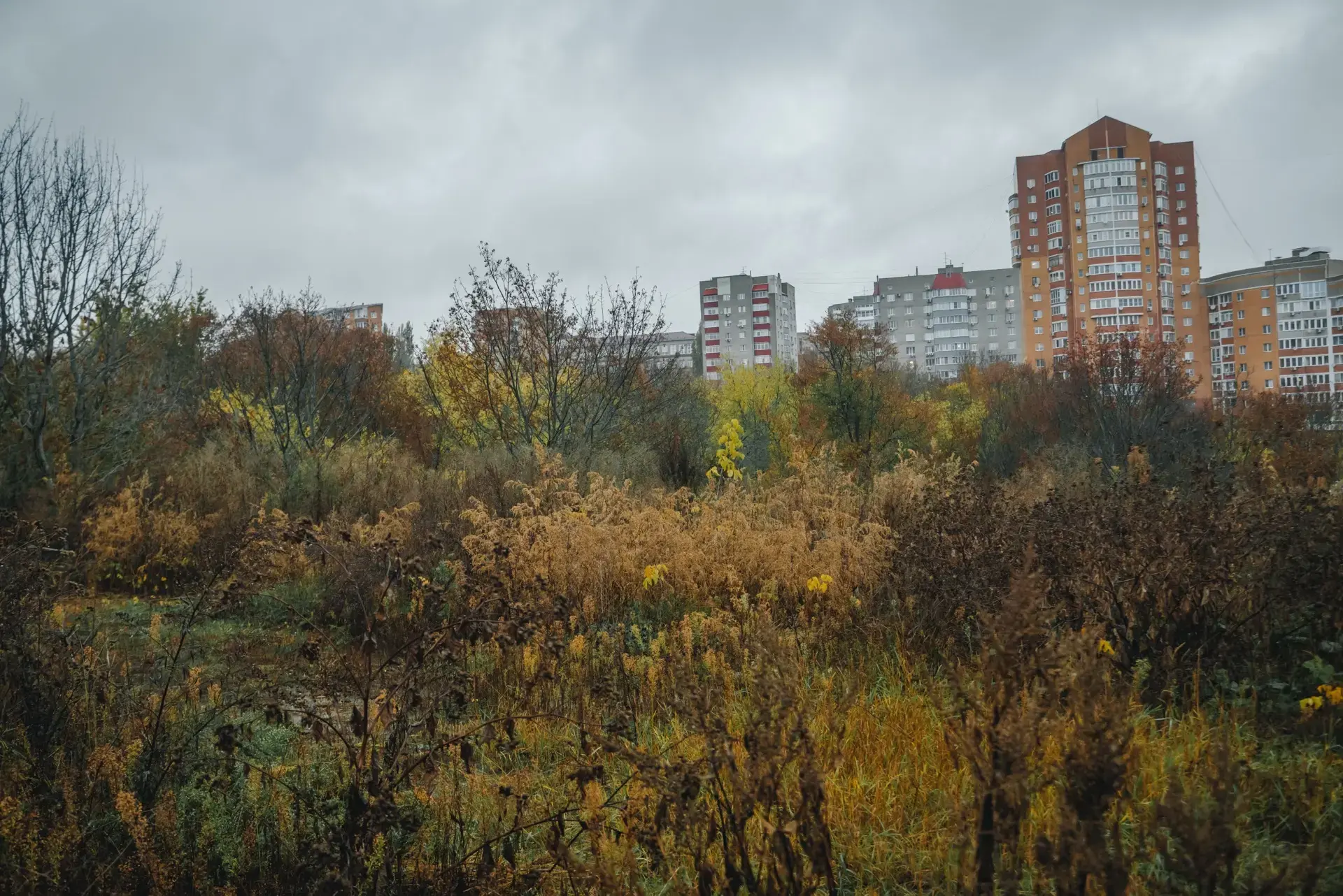 Курский суд лишил связанную с ОПГ фирму земли в центре города Курский суд лишил связанную с ОПГ фирму земли в центре города