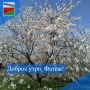 ДОБРОЕ УТРО. Желаем всем жителям Фатежского района удачного четверга!
