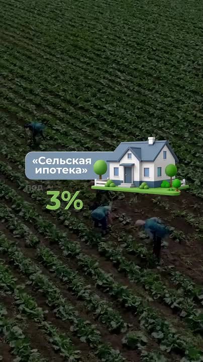 От поля до стратегии: что нужно для развития села?