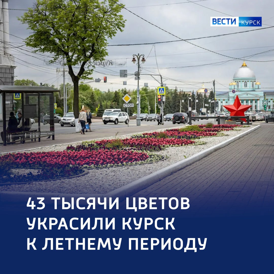 Летний наряд для Курска. В Курске стартовало летнее оформление городских пространств