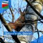 ДОБРОЕ УТРО. Желаем всем бодрого начала рабочей недели! Пусть все задуманные планы осуществятся в самом лучшем виде