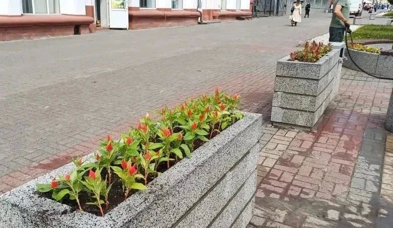 В Курске на уборке улиц задействованы 23 человека и три единицы спецтехники В Курске на уборке улиц задействованы 23 человека и три единицы спецтехники