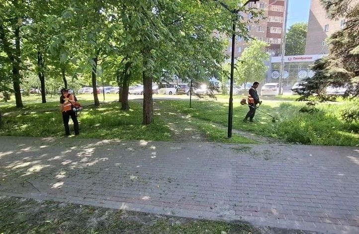 В Курске на уборке улиц задействованы 23 человека и три единицы спецтехники В Курске на уборке улиц задействованы 23 человека и три единицы спецтехники