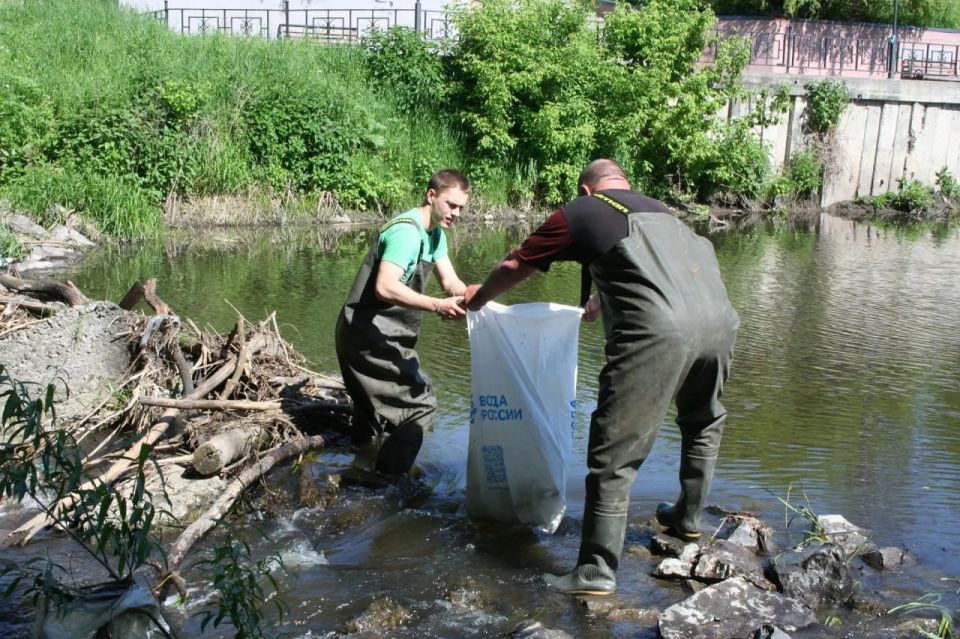 С Утиного острова вывезли мусор и старые покрышки