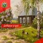Мы сами рисуем свой мир. Никогда не говорите, что у вас всё плохо