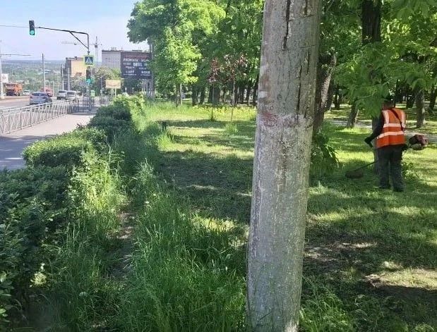 На уборке Курска задействованы 24 человека и три единицы спецтехники На уборке Курска задействованы 24 человека и три единицы спецтехники