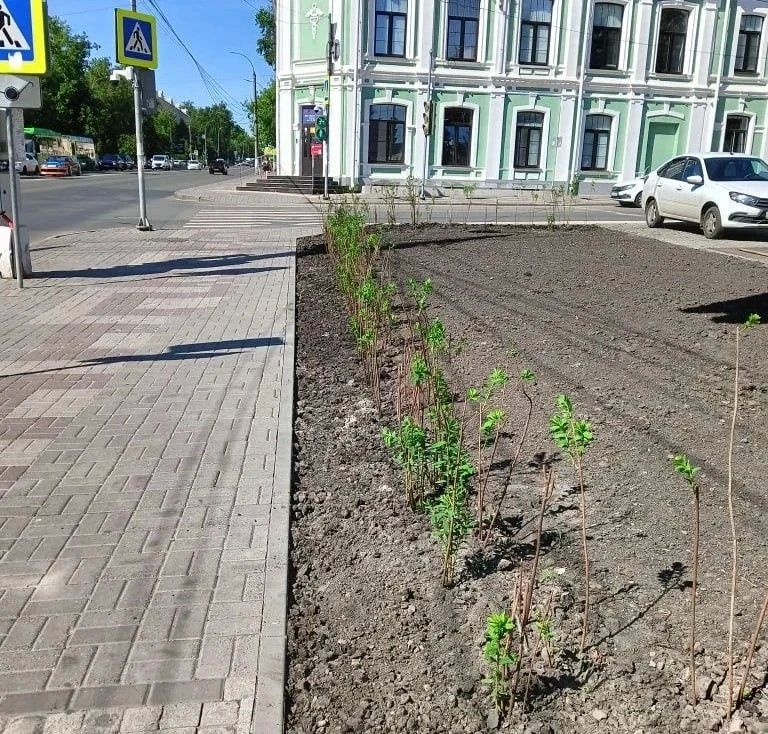 На уборке Курска задействованы 24 человека и три единицы спецтехники На уборке Курска задействованы 24 человека и три единицы спецтехники