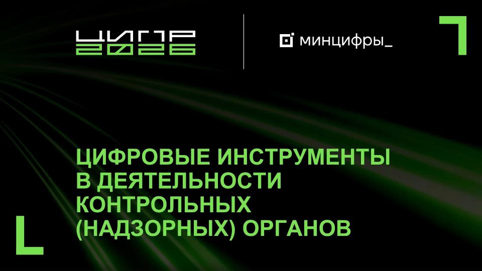 Цифровые инструменты в деятельности контрольных (надзорных) органов