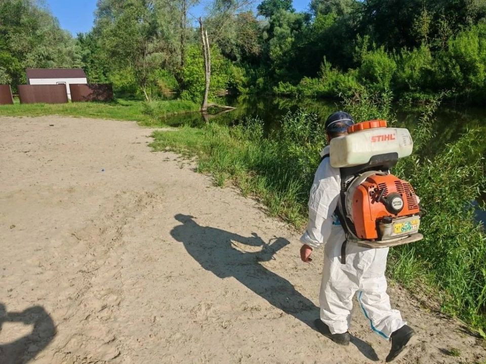 Каждый год комитет городского хозяйства Курска готовит пляжи к купальному сезону Каждый год комитет городского хозяйства Курска готовит пляжи к купальному сезону