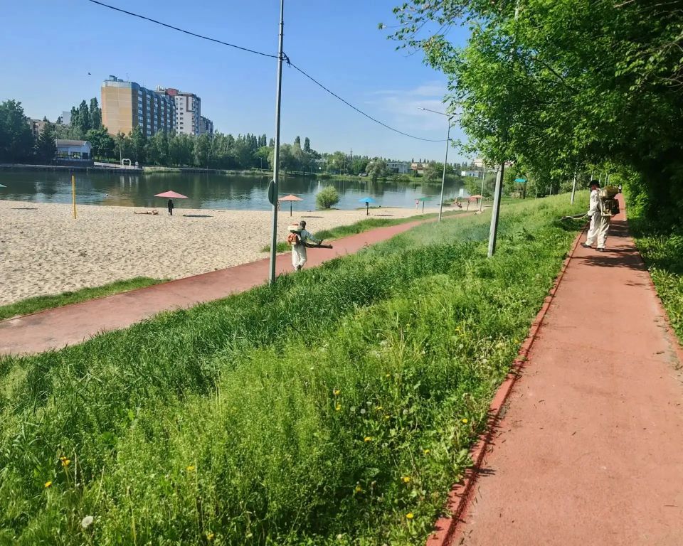 Каждый год комитет городского хозяйства Курска готовит пляжи к купальному сезону Каждый год комитет городского хозяйства Курска готовит пляжи к купальному сезону