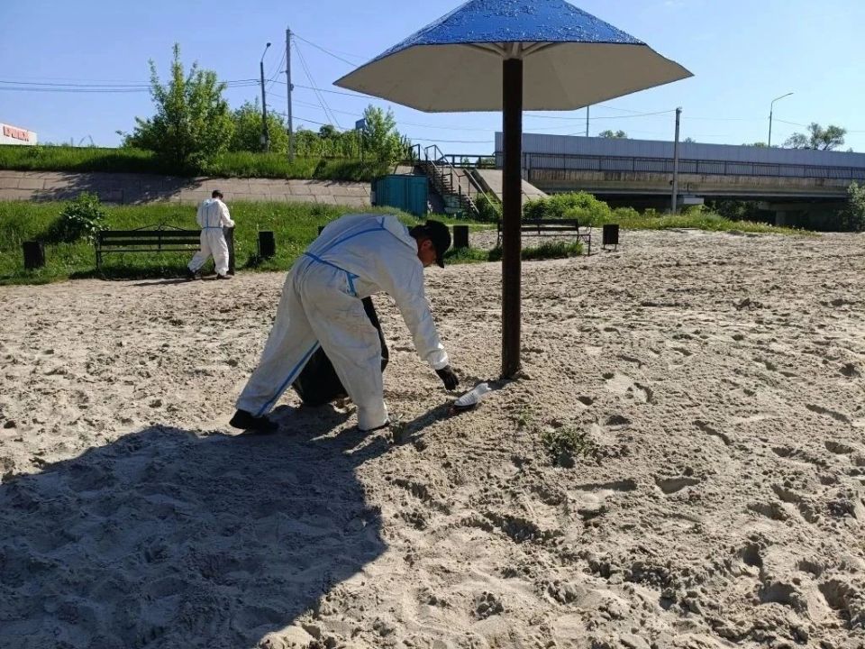 Каждый год комитет городского хозяйства Курска готовит пляжи к купальному сезону Каждый год комитет городского хозяйства Курска готовит пляжи к купальному сезону