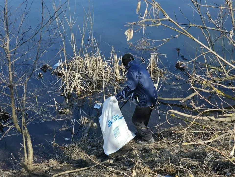Куряне очистили более 43 км берегов водоемов