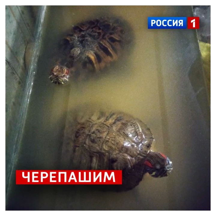 23 мая, суббота. Утро в Курске выдалось пасмурным