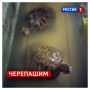 23 мая, суббота. Утро в Курске выдалось пасмурным
