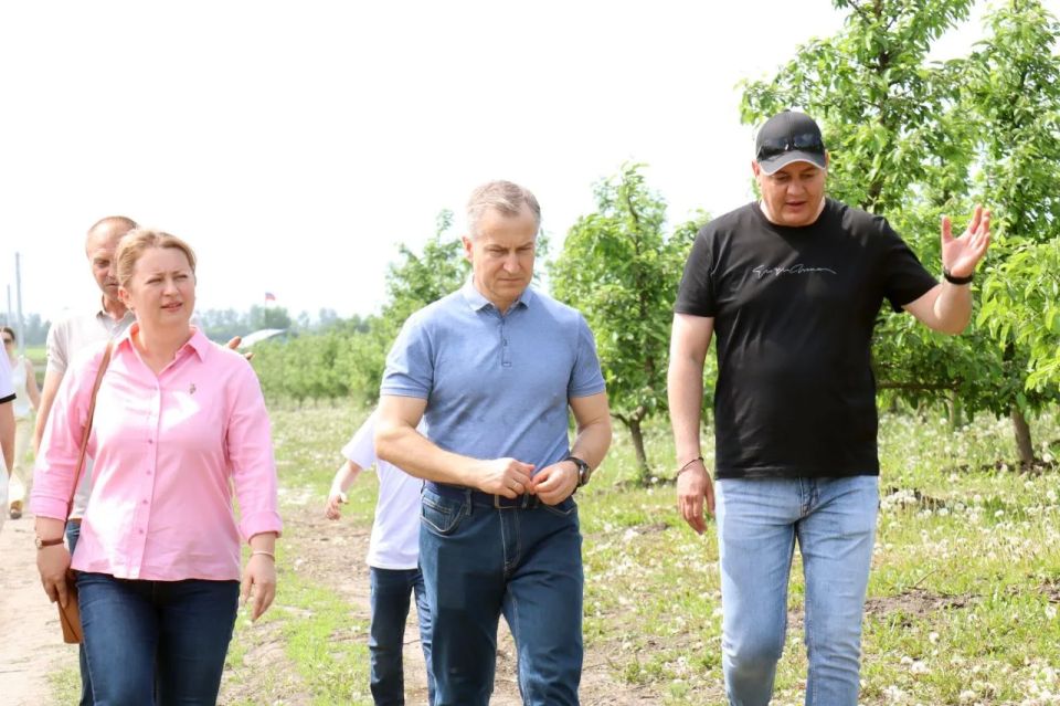 Первый заместитель губернатора – председатель Правительства Курской области Александр Чепик вместе с министром сельского хозяйства региона Натальей Гончаровой посетил сельскохозяйственные и перерабатывающие предприятия...