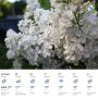 Доброе утро! На этой неделе в Курскую область придут дожди и похолодание.#ПрогнозПогоды