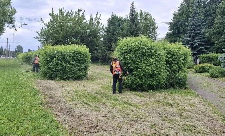 В общественных пространствах Курска убираются 29 рабочих и шесть машин В общественных пространствах Курска убираются 29 рабочих и шесть машин
