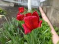 �����, ����� � ��������� ����� ��������� � ������� ������� 27 ���