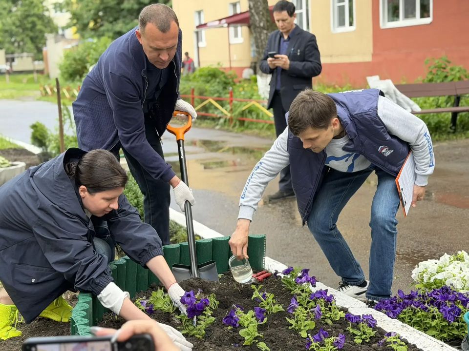 Во дворе Республиканской, 44, куряне высадили 150 петуний