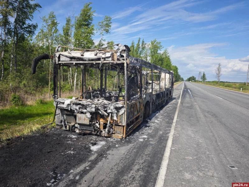 Скелетированные останки автобуса на трассе в Псковской области