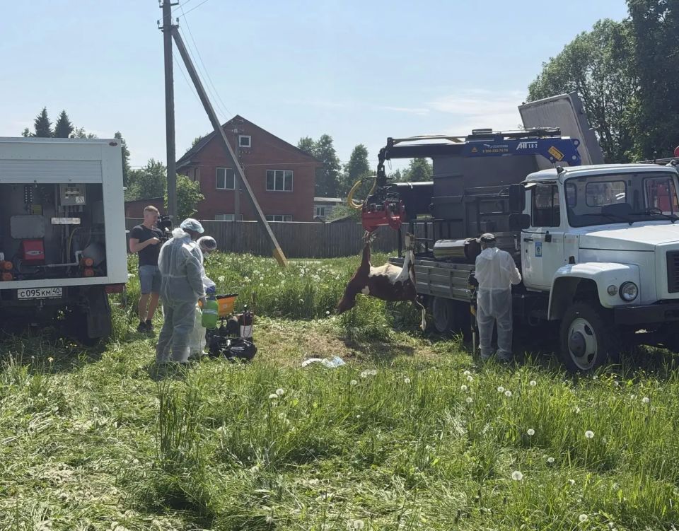 Сотрудники госветслужбы Курской области приняли участие в важных межрегиональных учениях по отработке действий при возникновении очагов сибирской язвы Сотрудники госветслужбы Курской области приняли участие в важных межрегиональных учениях по отработке действий при возникновении очагов сибирской язвы