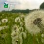 Доброе утро!. Прогноз погоды на сегодня: пасмурно, +12°C, дождь, ночью +6°C