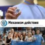 Проект «Механизм Действия. Программа развития потенциала личности обучающихся Курской области» Курского государственного университета признан победителем Всероссийского конкурса молодежных проектов среди образовательных...