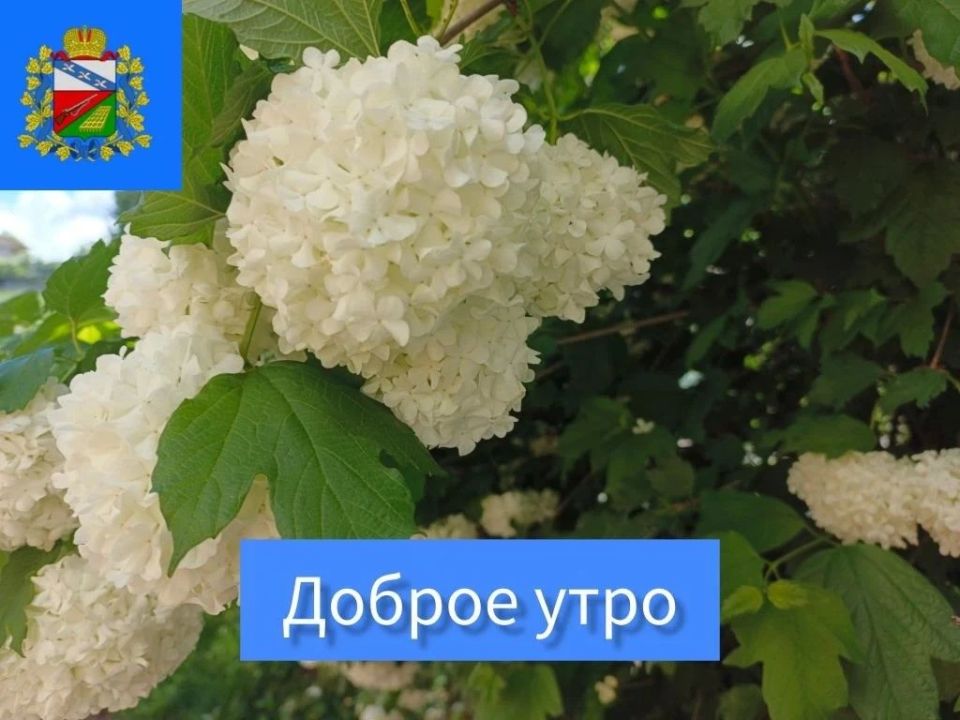 Доброе утро! Желаем всем хорошего настроения и отличного дня!
