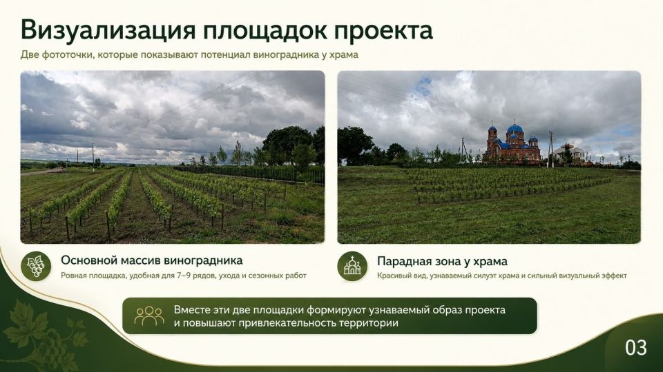Школьный виноградник ( Школьный виноградник (