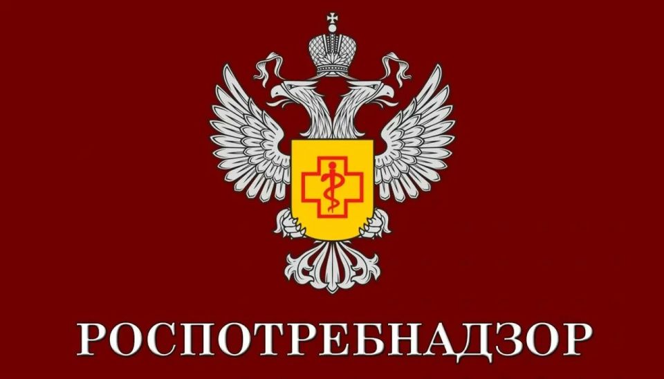 С 25 мая по 7 июня 2026 года в Управлении Роспотребнадзора по Курской области работает горячая линия по вопросам защиты прав туристов