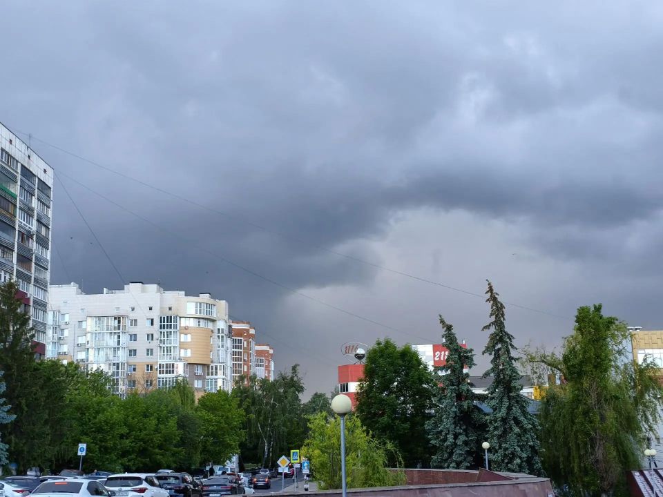 В предстоящие выходные в Курской области прогнозируются ночные заморозки