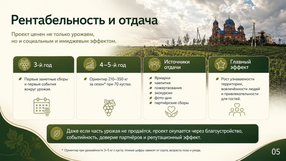 Школьный виноградник ( Школьный виноградник (