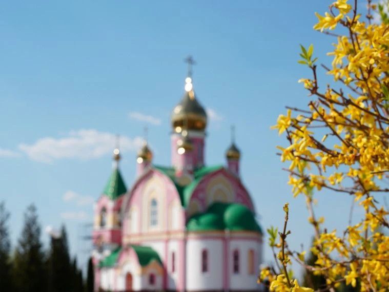 В Курчатове проходит полюбившийся жителям конкурс «Курчатов - цветущий город» В Курчатове проходит полюбившийся жителям конкурс «Курчатов - цветущий город»