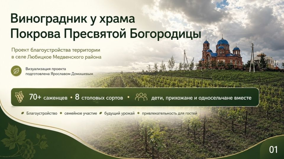 Школьный виноградник (