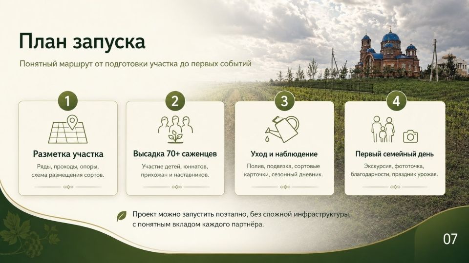 Школьный виноградник ( Школьный виноградник (