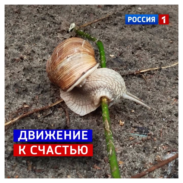 29 мая, пятница. Админ нагуглил любопытную примету: «Если в этот день идет дождь — нас ждт богатый урожай хлеба»
