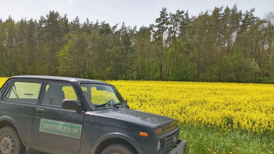 В Курской области за неделю провели 129 рейдов по охране животного мира и составили 12 протоколов В Курской области за неделю провели 129 рейдов по охране животного мира и составили 12 протоколов