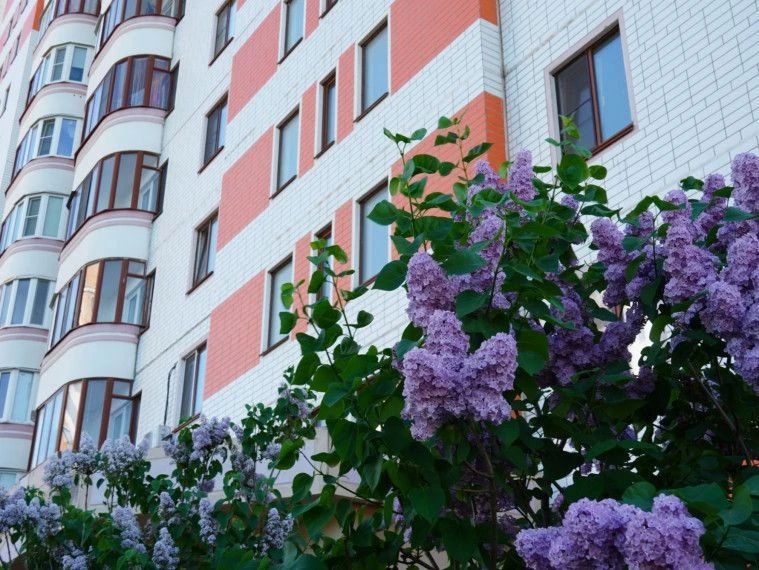 В Курчатове проходит полюбившийся жителям конкурс «Курчатов - цветущий город»